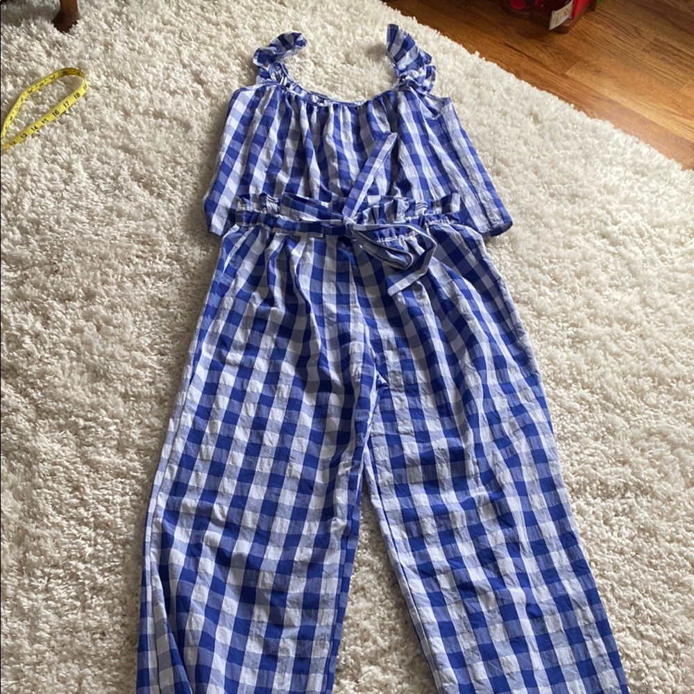 Joie Blue and White Checkered Pantset